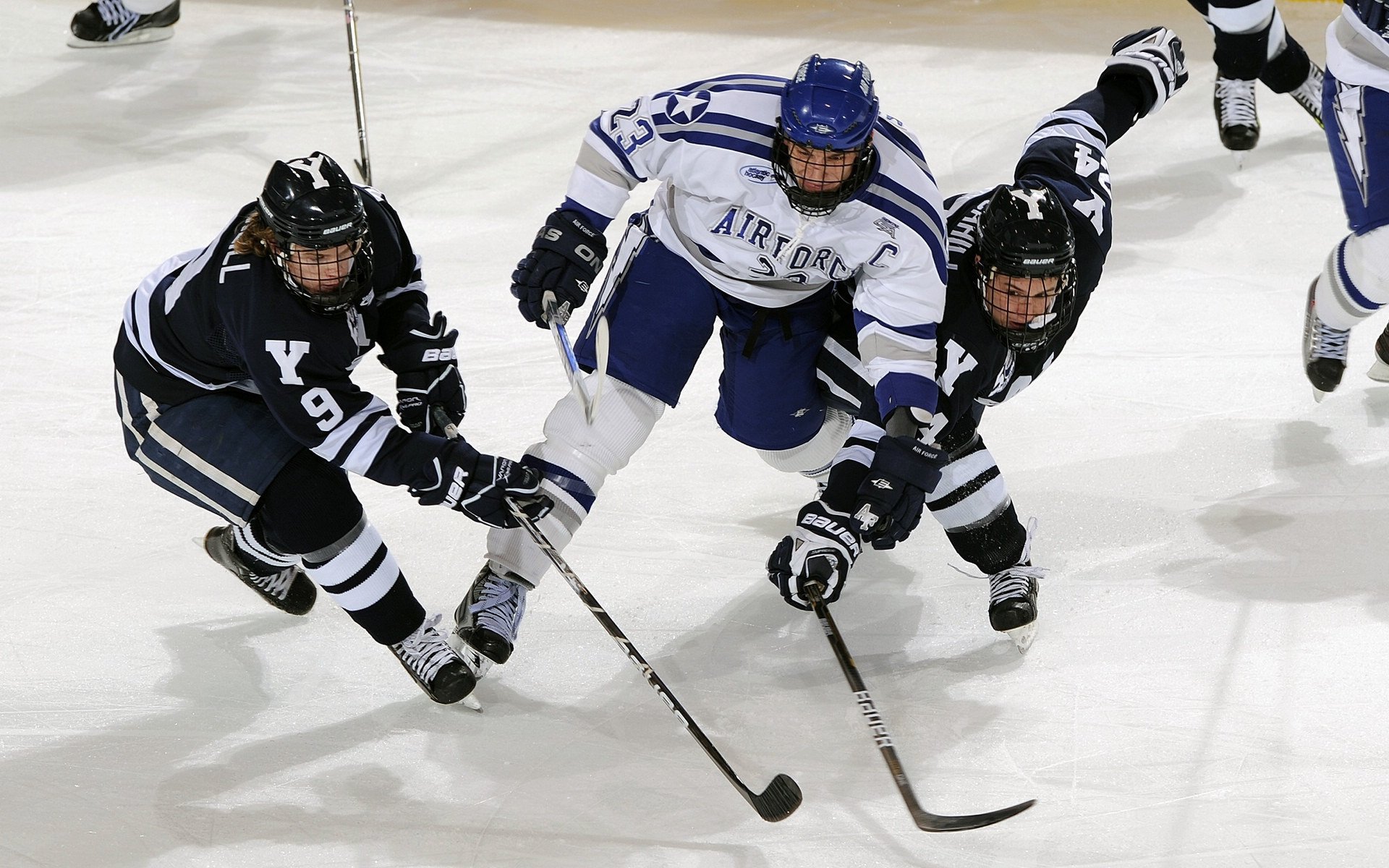 青少年篮球运动员伤病防护与康复管理，篮球运动员运动损伤的类型